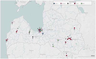 Unraveling tuberculosis patient cluster transmission chains: integrating WGS-based network with clinical and epidemiological insights